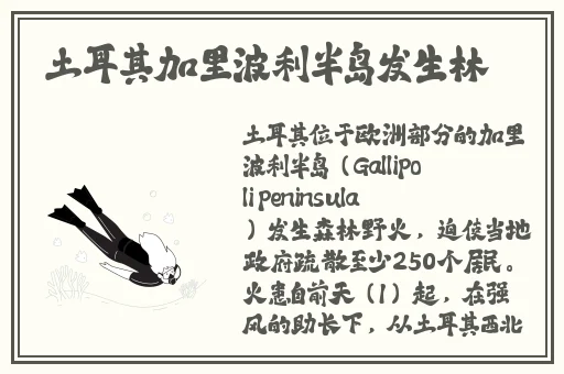 刚开始拒绝后来慢慢接受视频